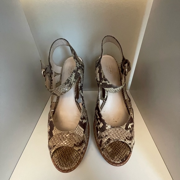 Snakeskin COACH Heels - Picture 1 of 6